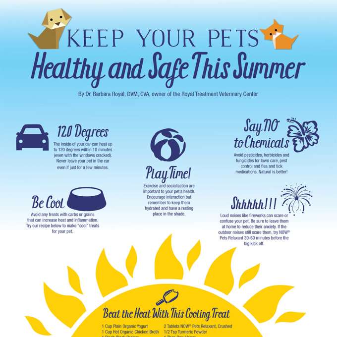 graphic illustration titled "Keep Your Pets Healthy and Safe This Summer". Five tips with illustrations on a blue background with a half-sun at the bottom.