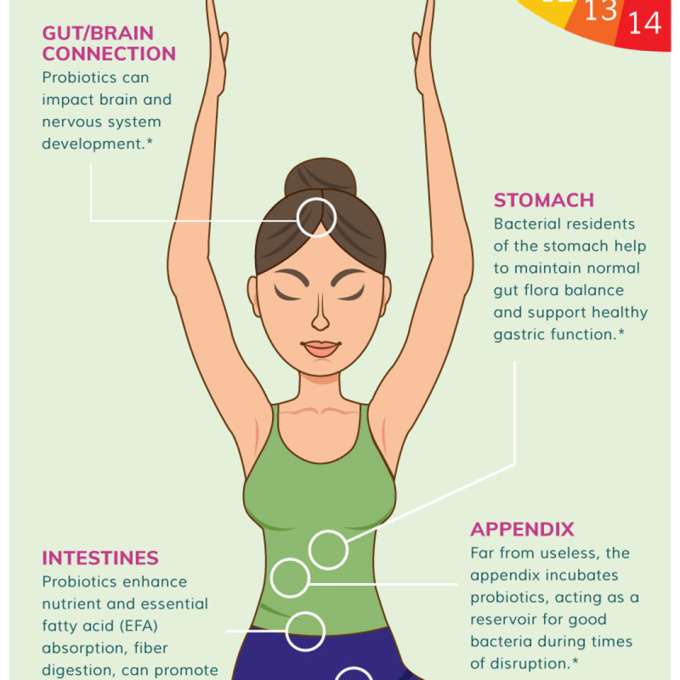 probiotics infographic thumb