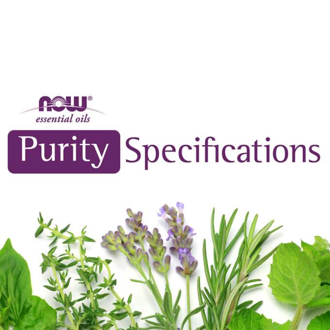 NOW Purity Specs Guide Cover Image