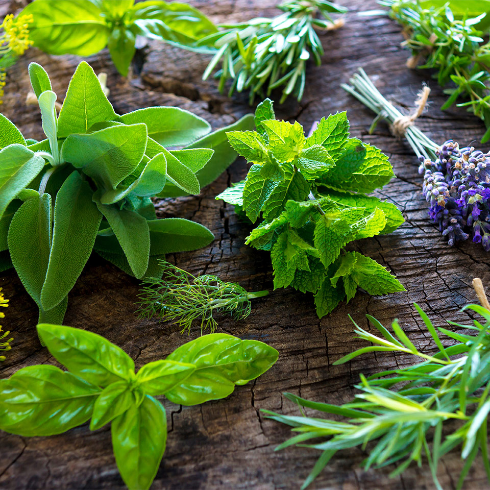 Whole Herbs Information | Are They Safe? | NOW Foods®